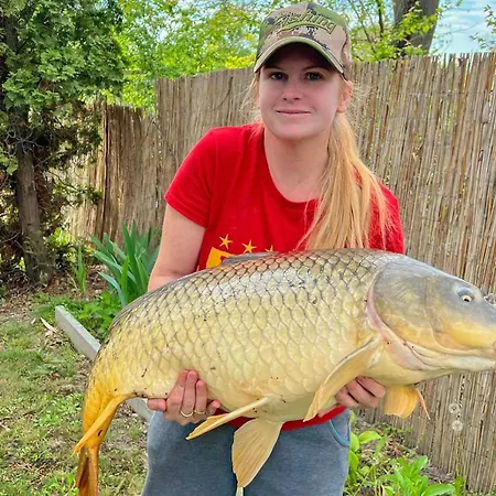 Popeye Jakuzzis Nyaralohaz Бекессентандраш