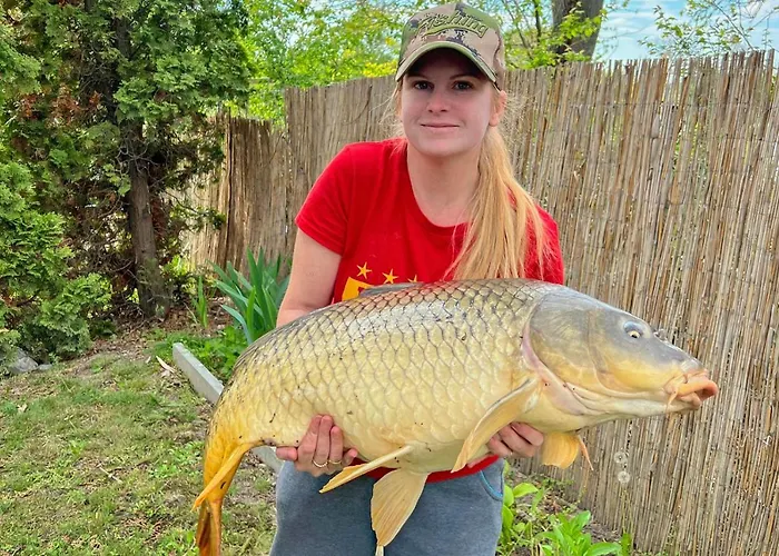 Popeye Jakuzzis Nyaralohaz Бекессентандраш